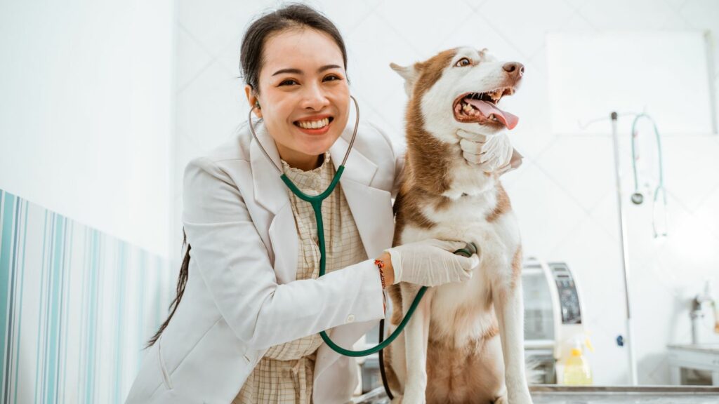 dog health certificate